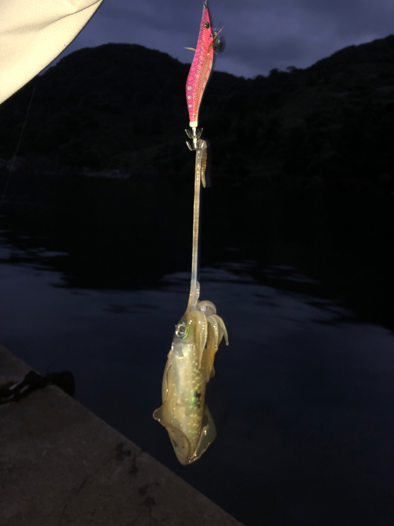 【新子調査】伊根〜京丹後巡り①