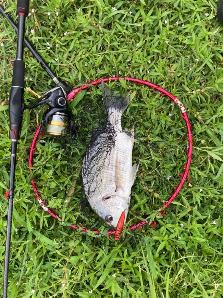 サーフ五目釣り