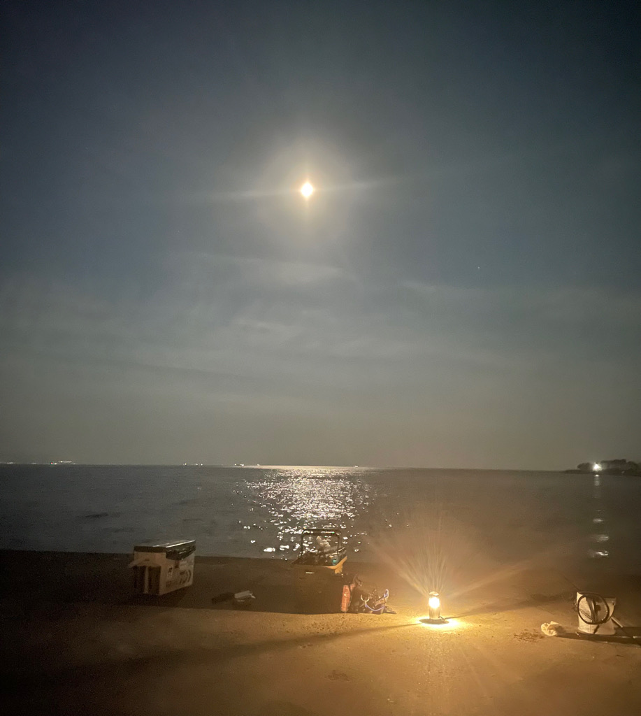 いろいろ五目釣り