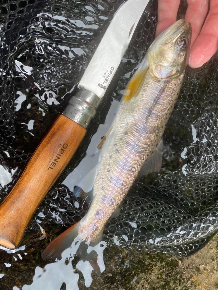 人の立ち入ってない沢！