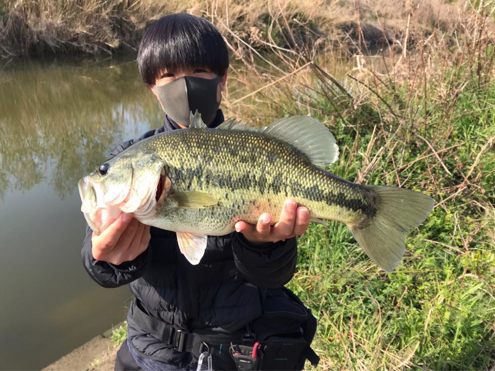紀の川バス釣り爆釣