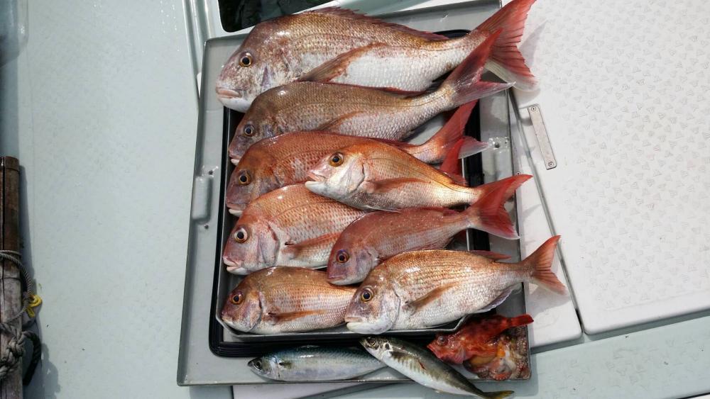 船でのモンスターハンターに挑戦！