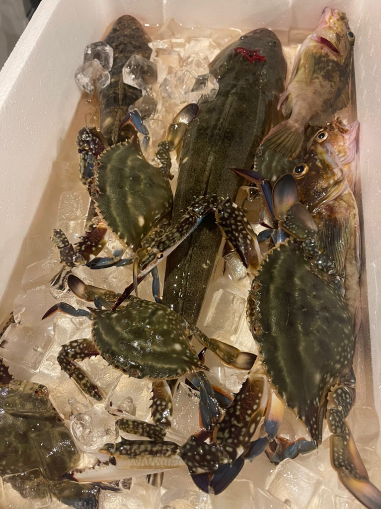 初めてのマゴチからのワタリガニ