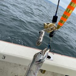須磨沖タチウオジギング