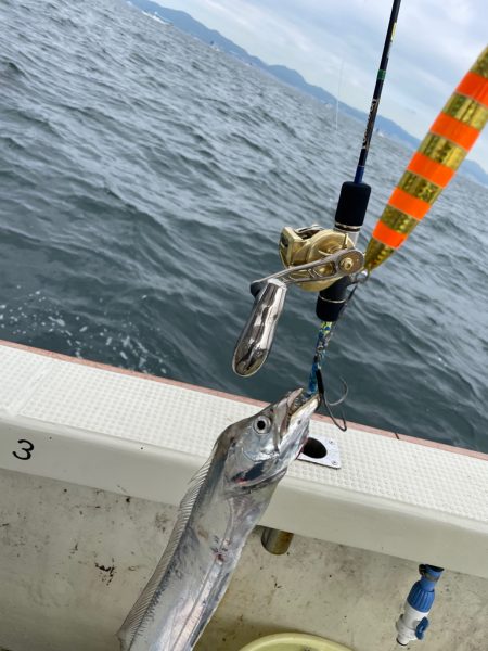 須磨沖タチウオジギング