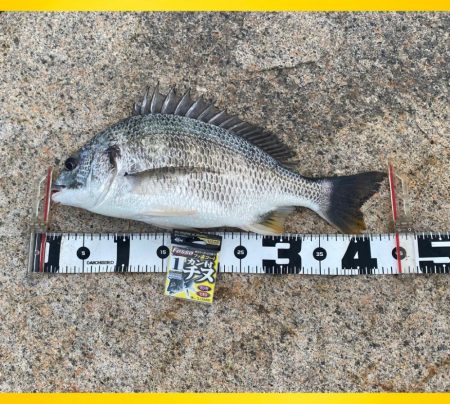 小型を釣りながら良い型を目指し