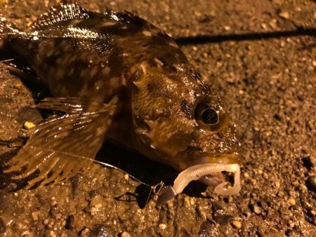 涼しい早朝にトリプルクロスでライトロック！