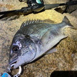 淀川ブリームゲーム