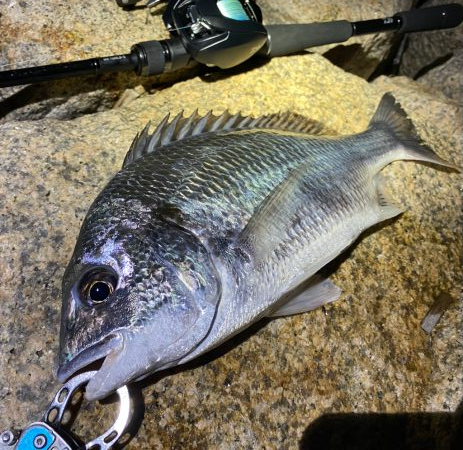 淀川ブリームゲーム