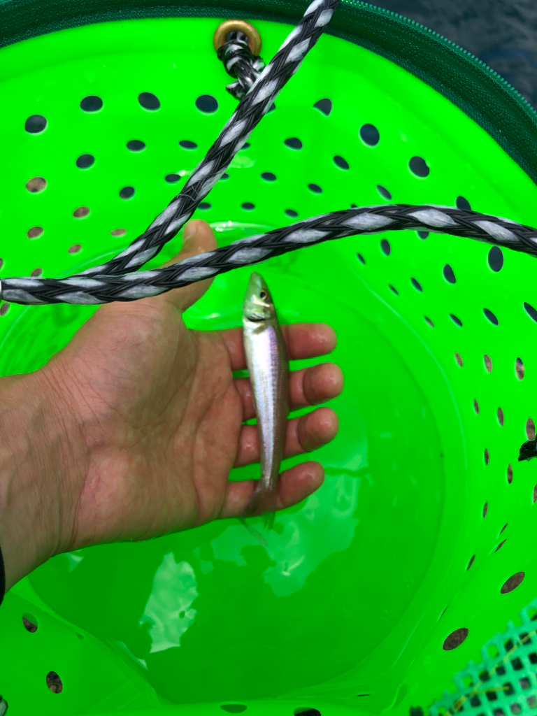 綺麗な海で五目釣り