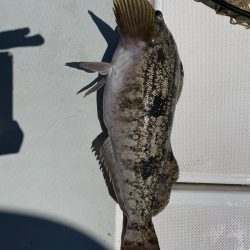 久しぶりのオフショア釣行！