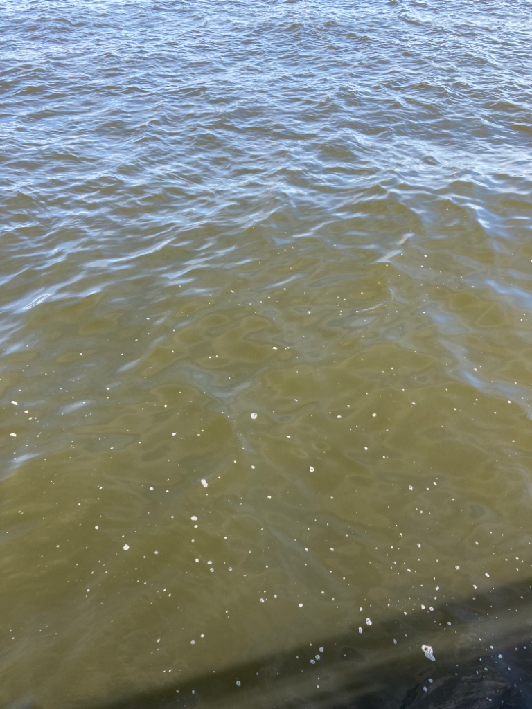 湾奥コスモ蛸ゲーム。何とか2杯。。