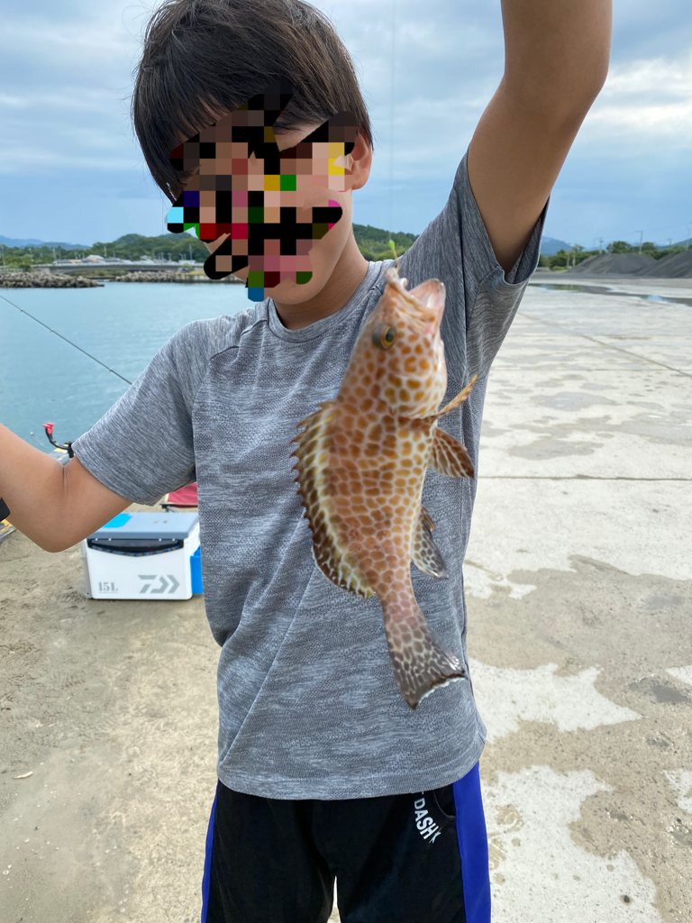 タチウオ不発の代わりが、、、