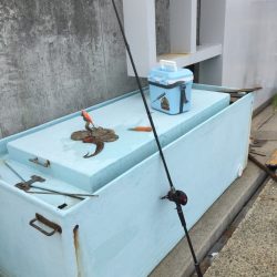 久しぶりに釣れた!