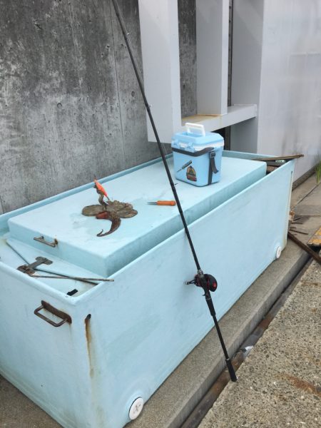 久しぶりに釣れた!