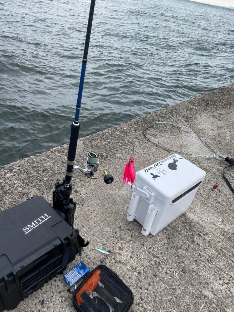 初めてのタコ🐙