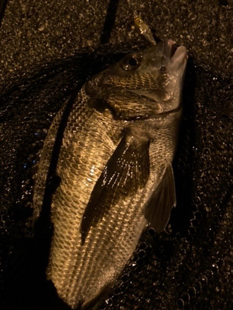 ライトゲームのつもりがチニングにw