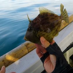 シーズン先取りカワハギ釣り！