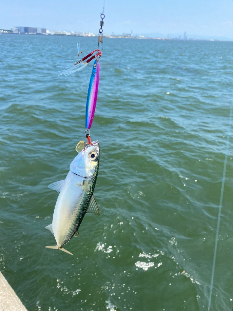 西宮ケーソンでジギング