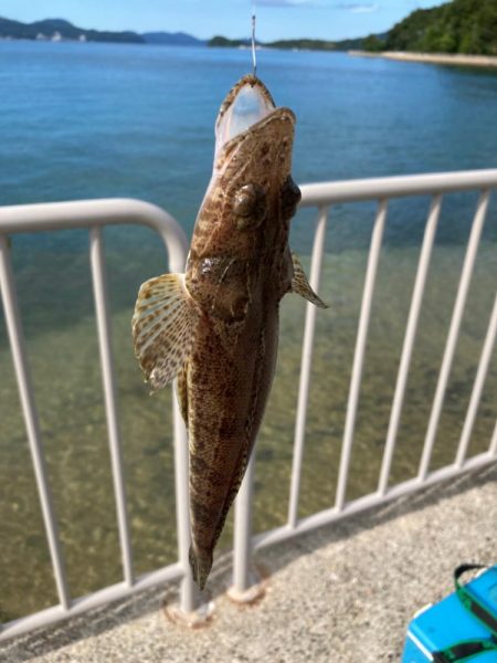 ベイトタックルでキスゲーム