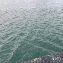 帰省先での釣行