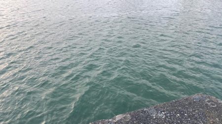 帰省先での釣行