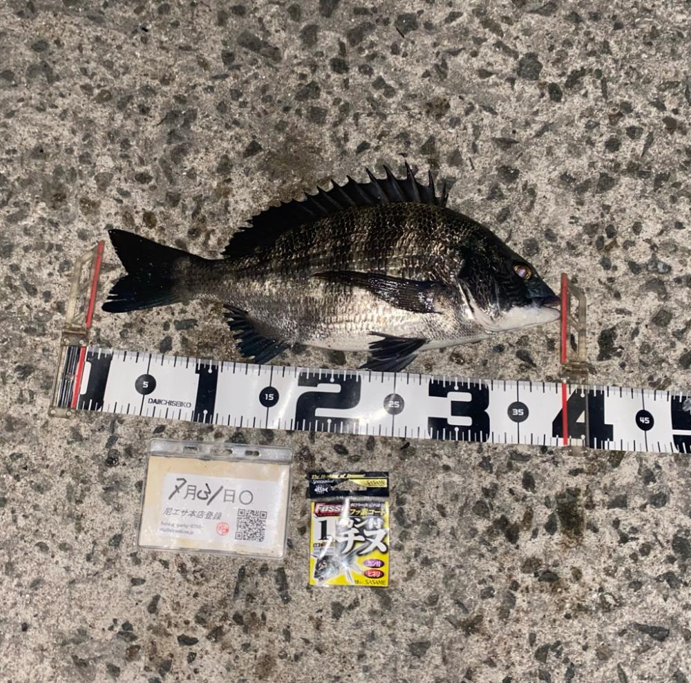 流れの変化時、連続アタリが・・・