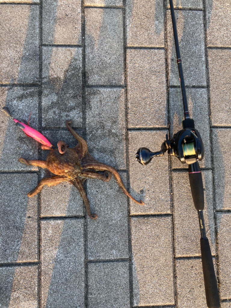 ⭐︎20時間ぶり