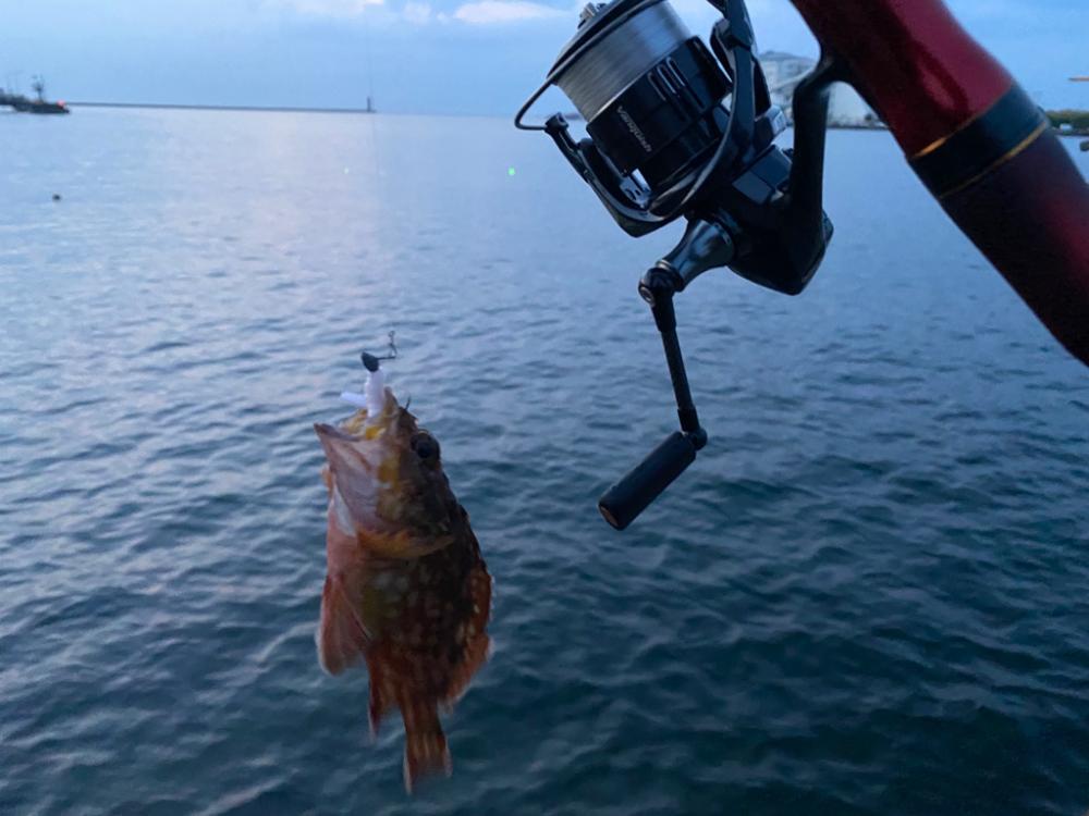 大阪府ライトゲーム