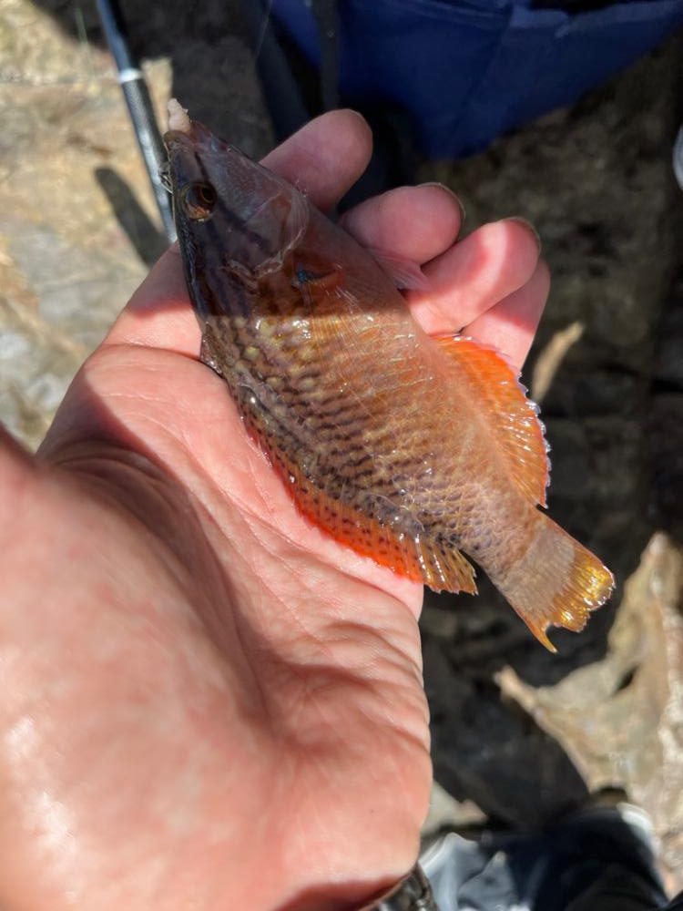 隙間時間ライトゲーム