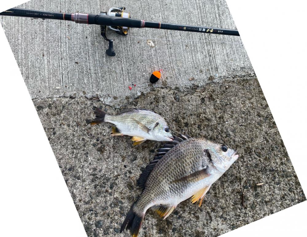 釣り途中、風向きが変わり