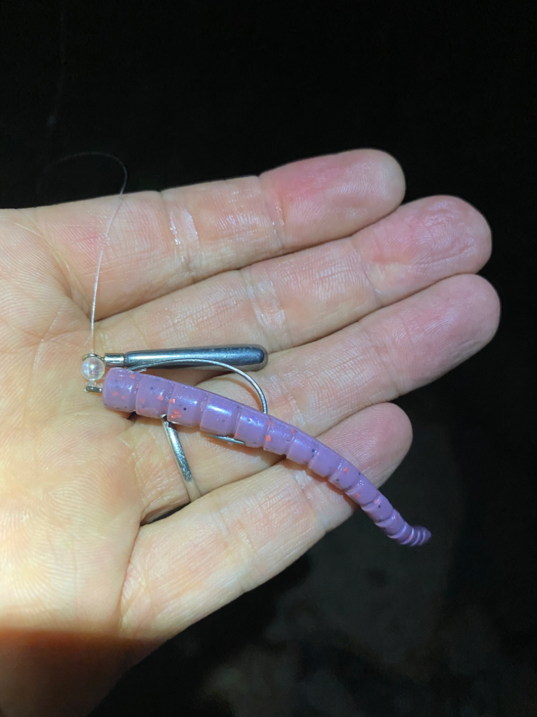 淀川ブリームゲーム