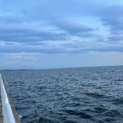 湾奥ライトゲーム！