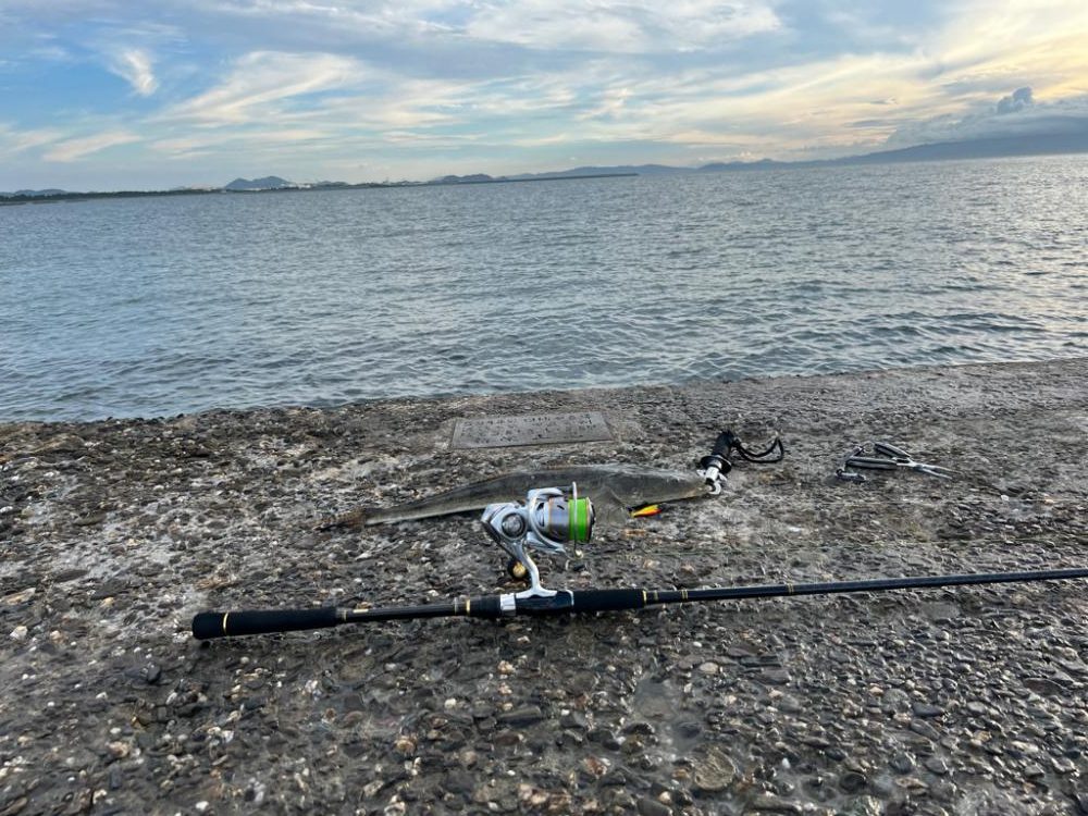 エソ1匹、マゴチ2匹目