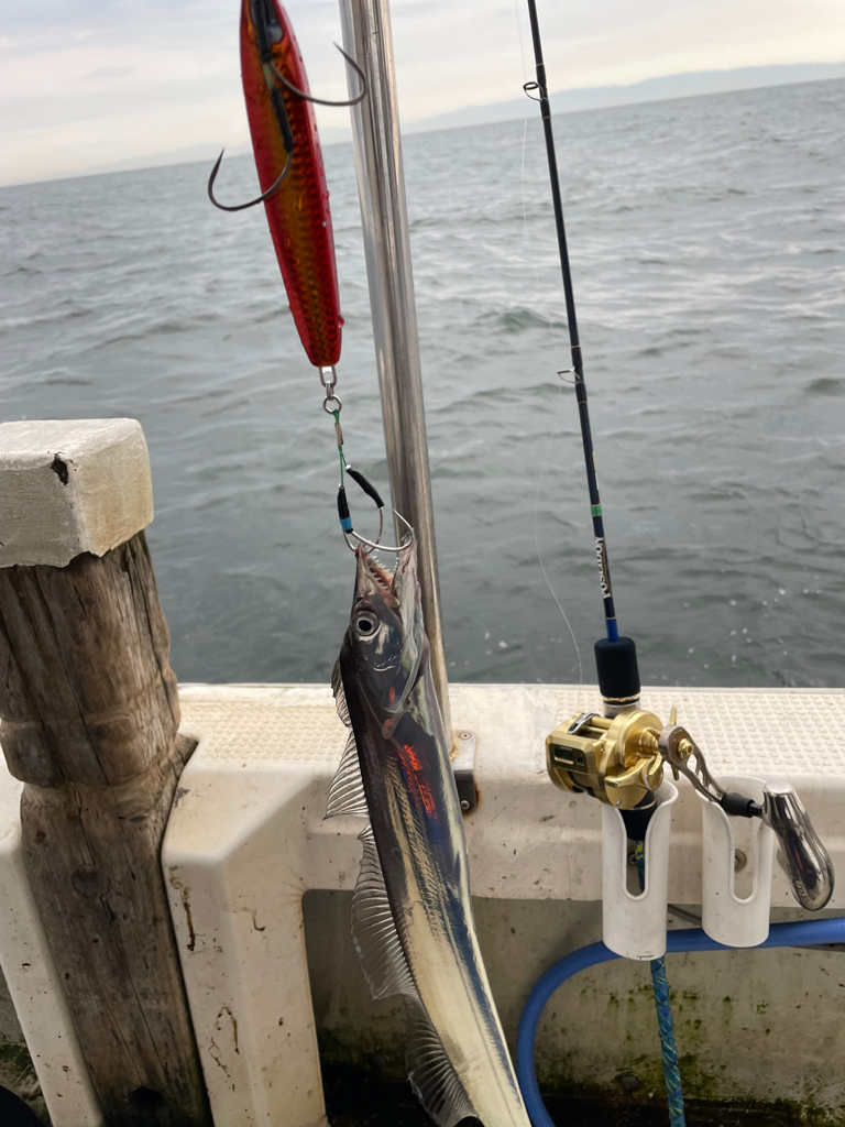 タチウオジギング