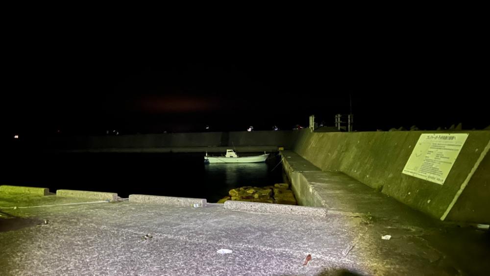 和歌山太刀魚調査