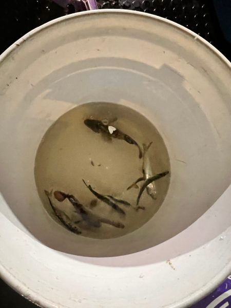 夜間オフショア