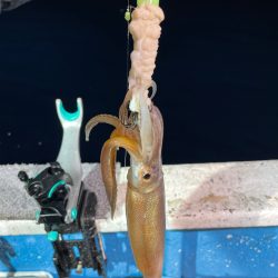 福井でイカメタル