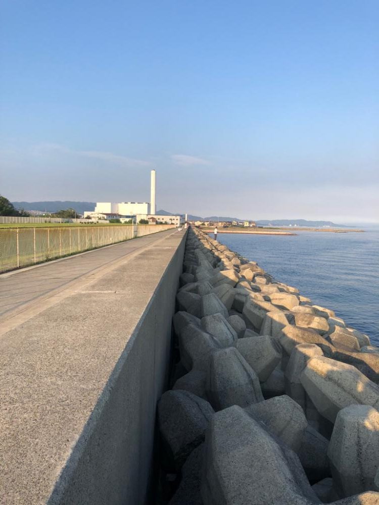 泉南キス ベストシーズンインジアビス