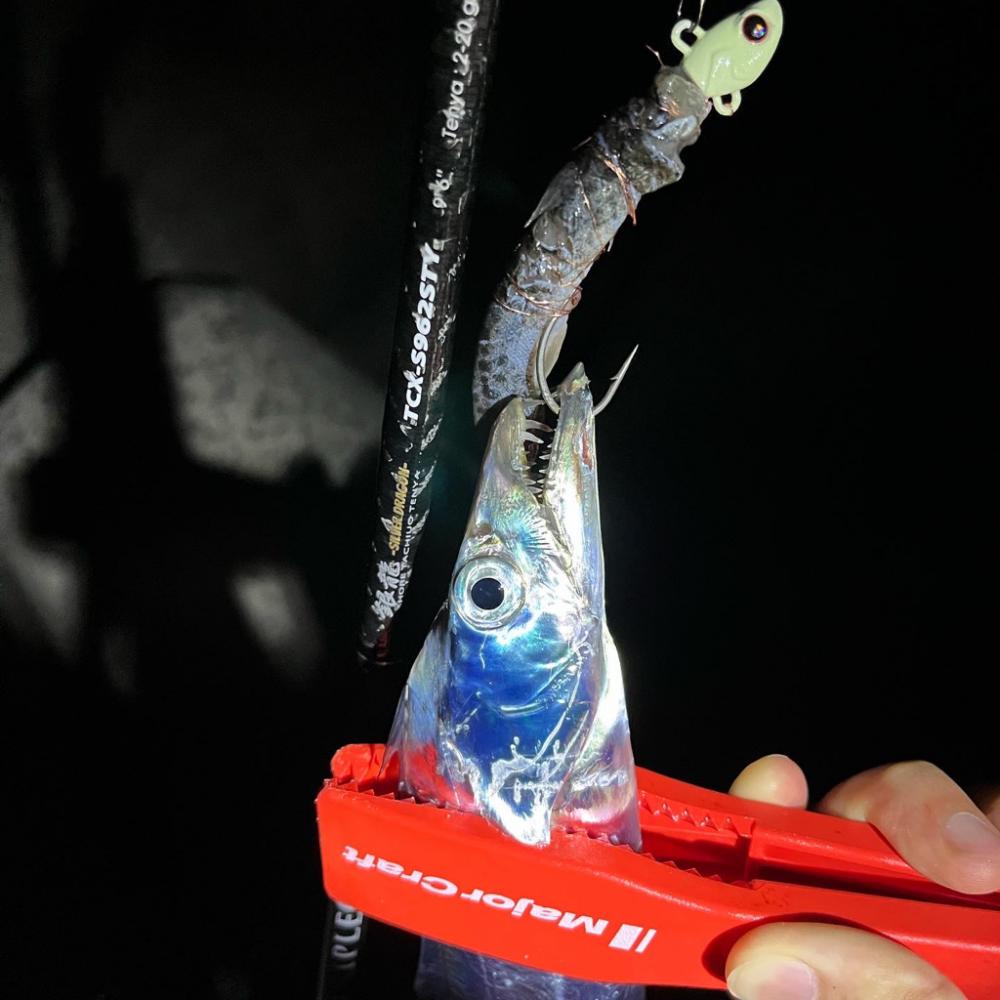 ショアタチウオテンヤ