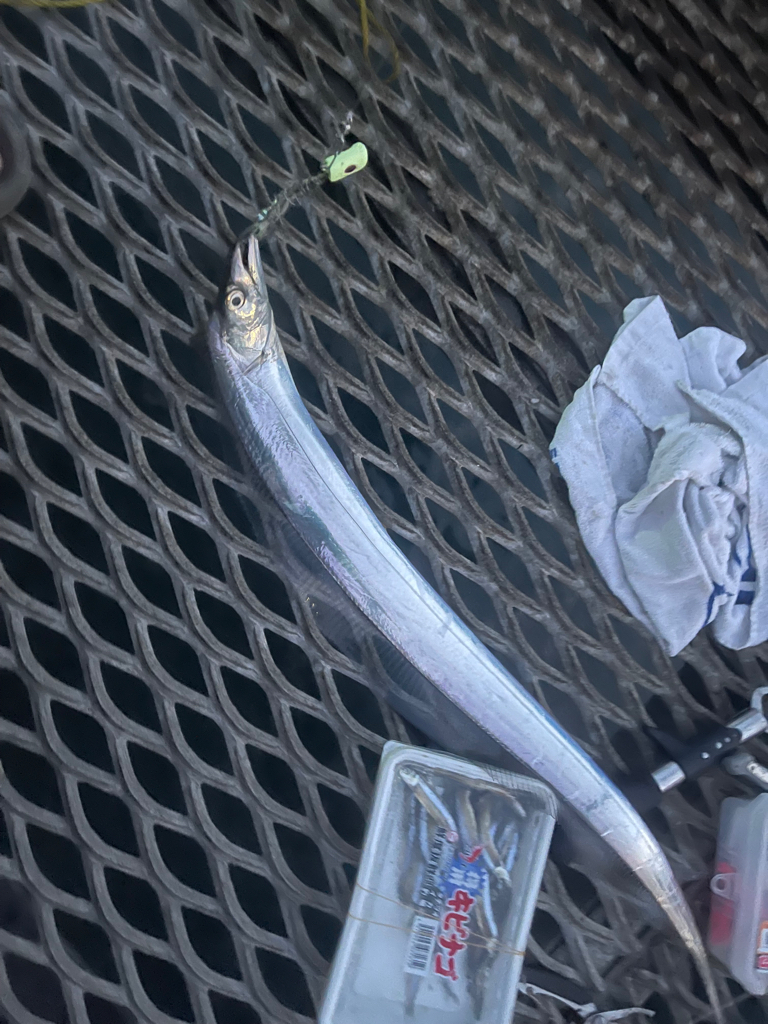 トットパーク小島で釣りたい魚全部ゲット