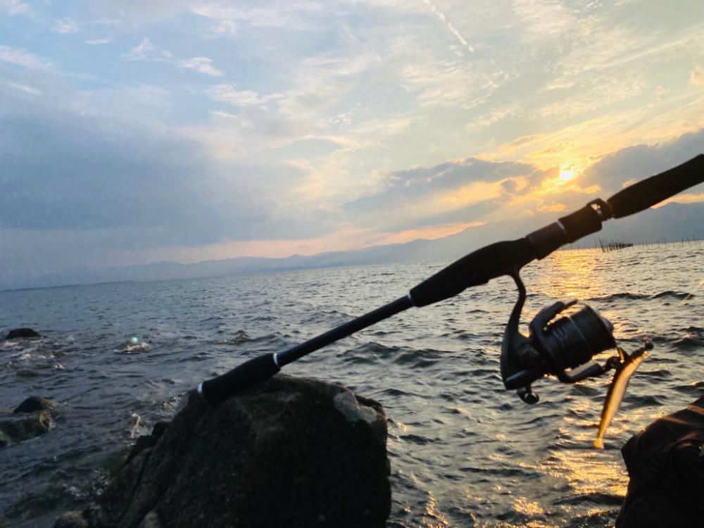 真夏のロックエリア