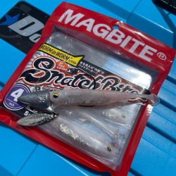 シャローロックフィッシュゲーム