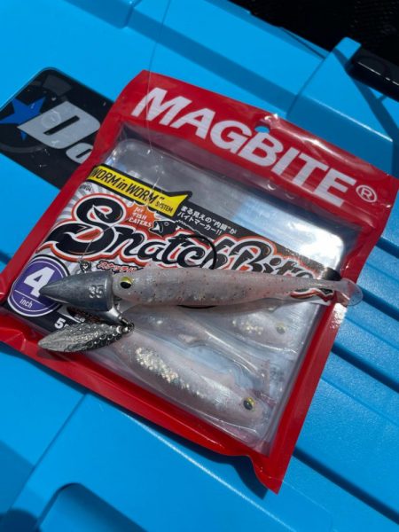 シャローロックフィッシュゲーム