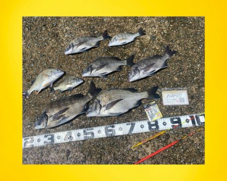 数を釣りながら良型狙い