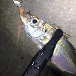 少しサイズアップ