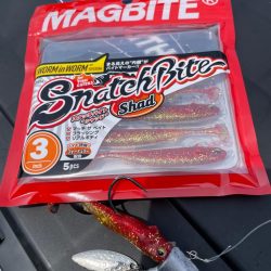 ロックフィッシュゲーム