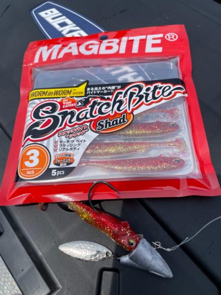 ロックフィッシュゲーム