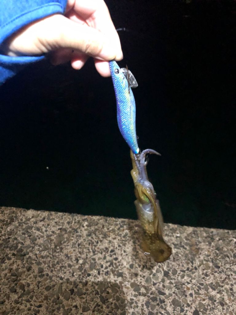 【新子調査】伊根〜京丹後巡り②