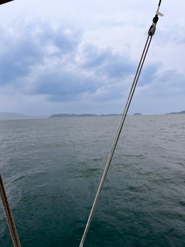 ジギングとサビキ